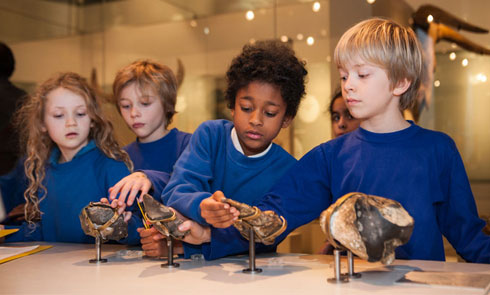 School children looking at objects